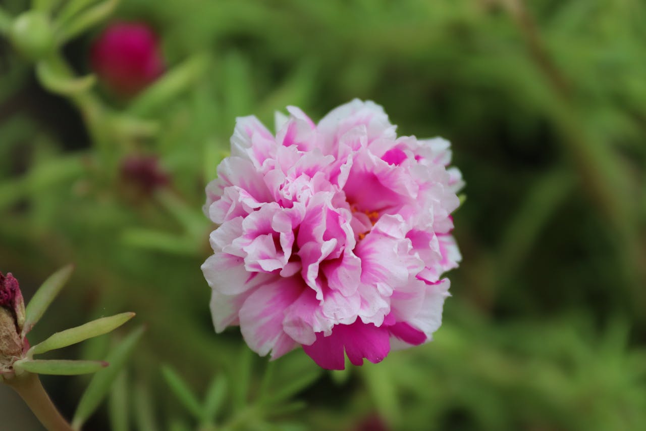 12 Floral Centerpieces That Feel Fresh, Not Fussy for Easy Everyday Decor