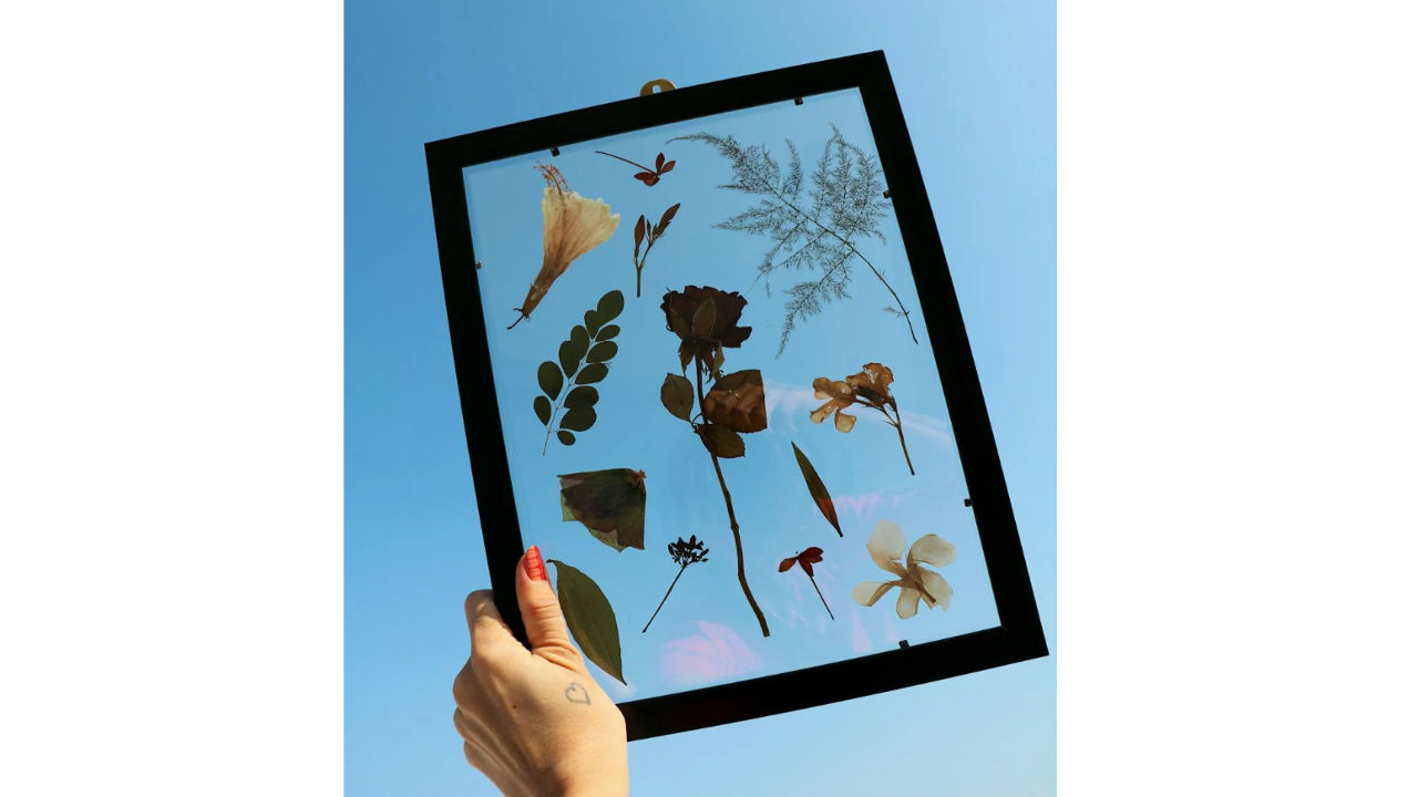 Hand holding a black floating picture frame with pressed flowers and leaves against a clear blue sky