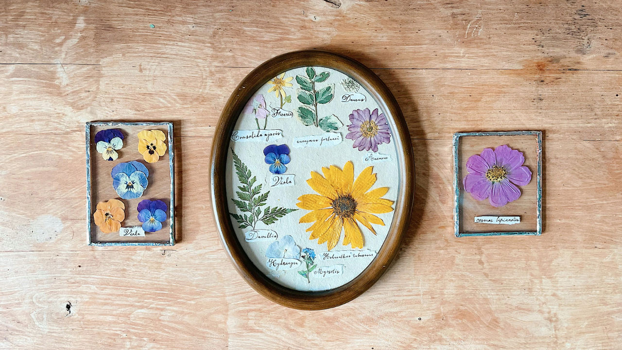 Pressed flower artwork displayed in three frames on wooden surface, showcasing labeled botanical specimens