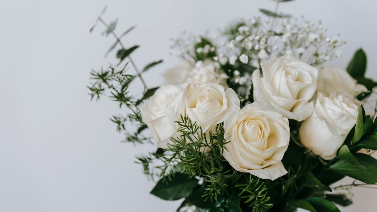 bouquet of white roses, baby's breath, and green foliage, arranged against a plain light background