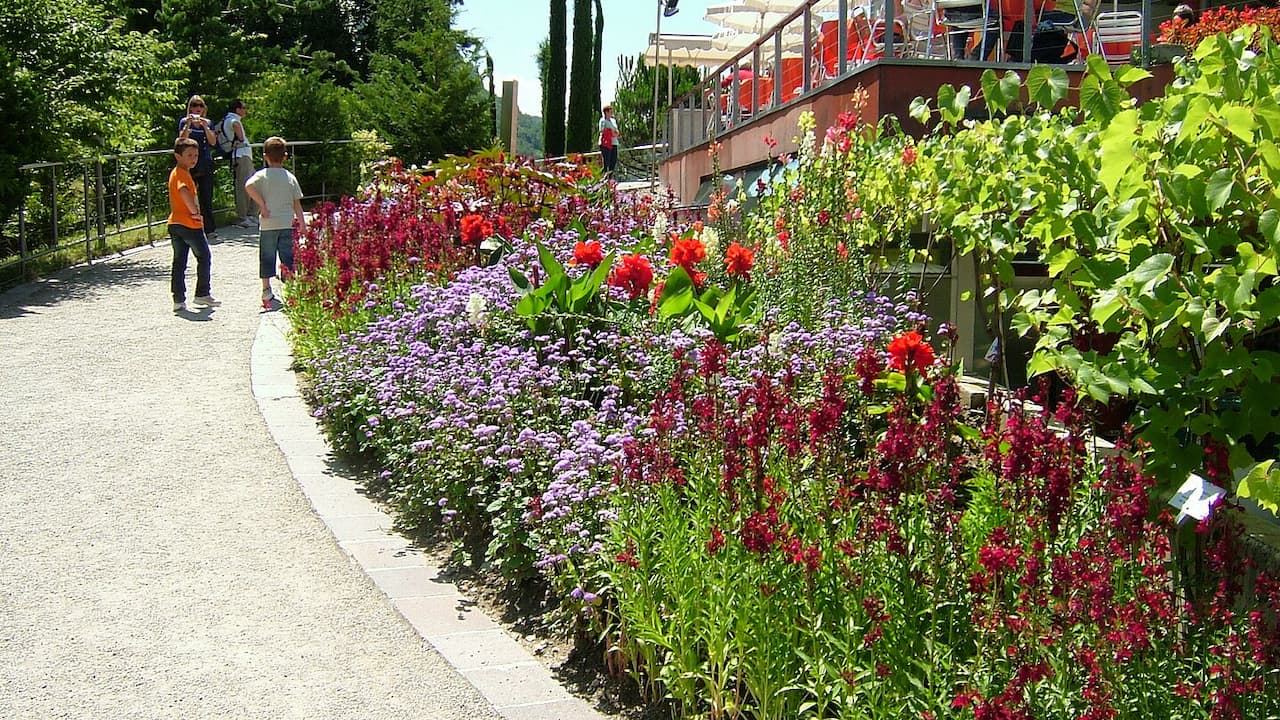 Garden pathway with colorful flower beds featuring purple and red blooms, visitors walking, and residential buildings