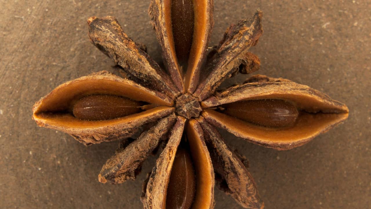 Close-up of a dried star anise pod, showing its symmetrical, star-shaped structure with dark brown seeds nestled inside woody segments, set against a plain background