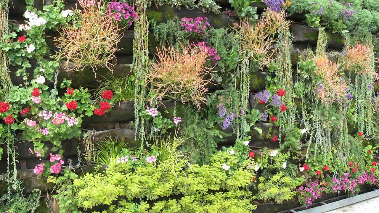 13 Garden Tasks to Tackle Before the First Frost