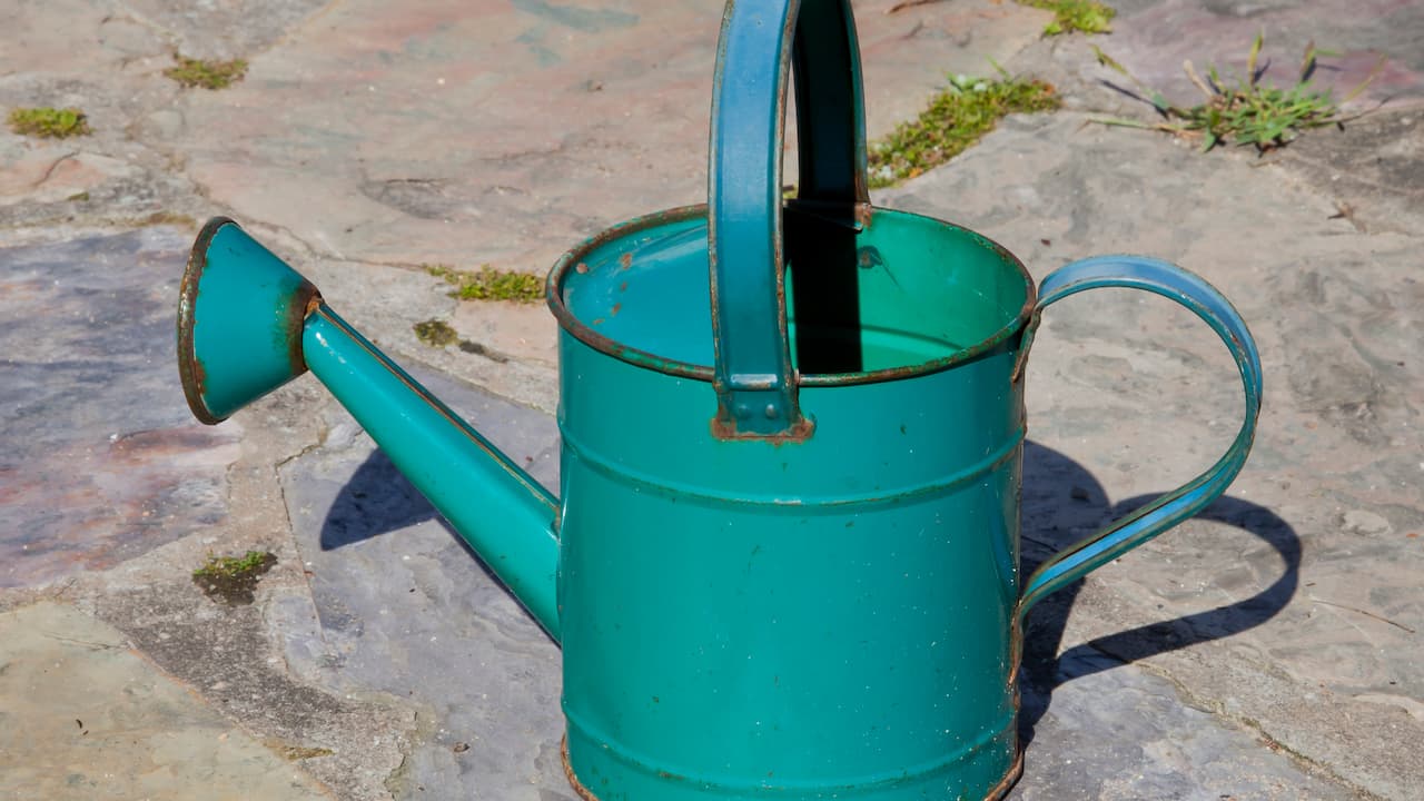A vintage green metal watering can with a long spout and top handle, resting on a stone-paved surface with patches of moss