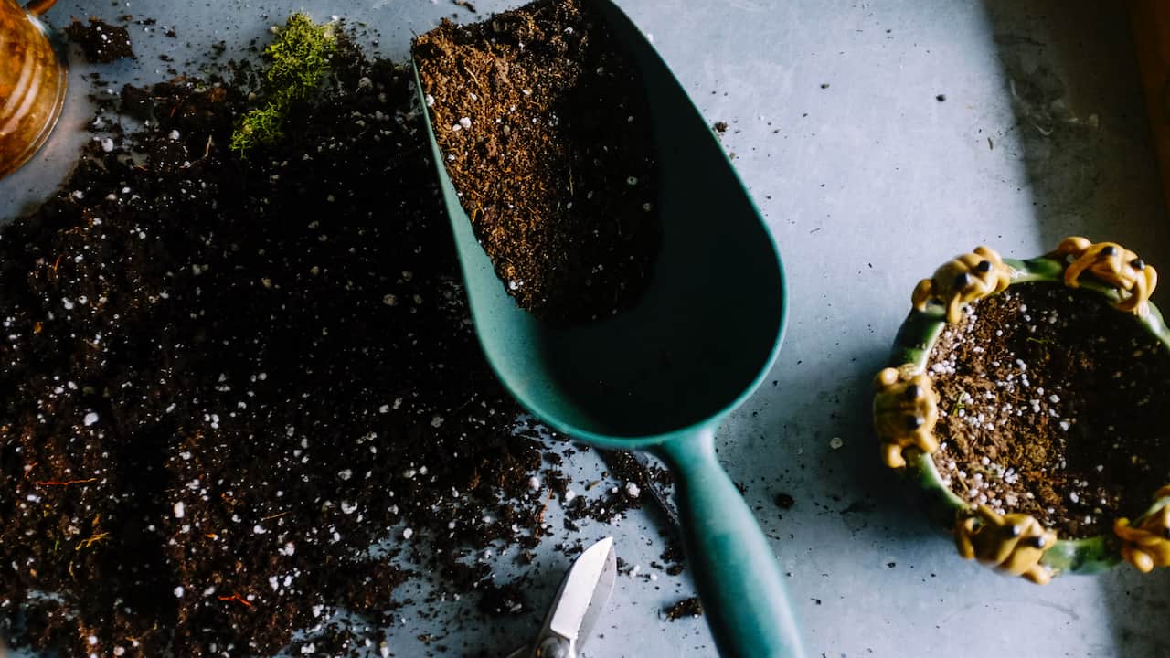 14 Timeless Tools Every Gardener Should Own for Easy and Fun Gardening All Year Round