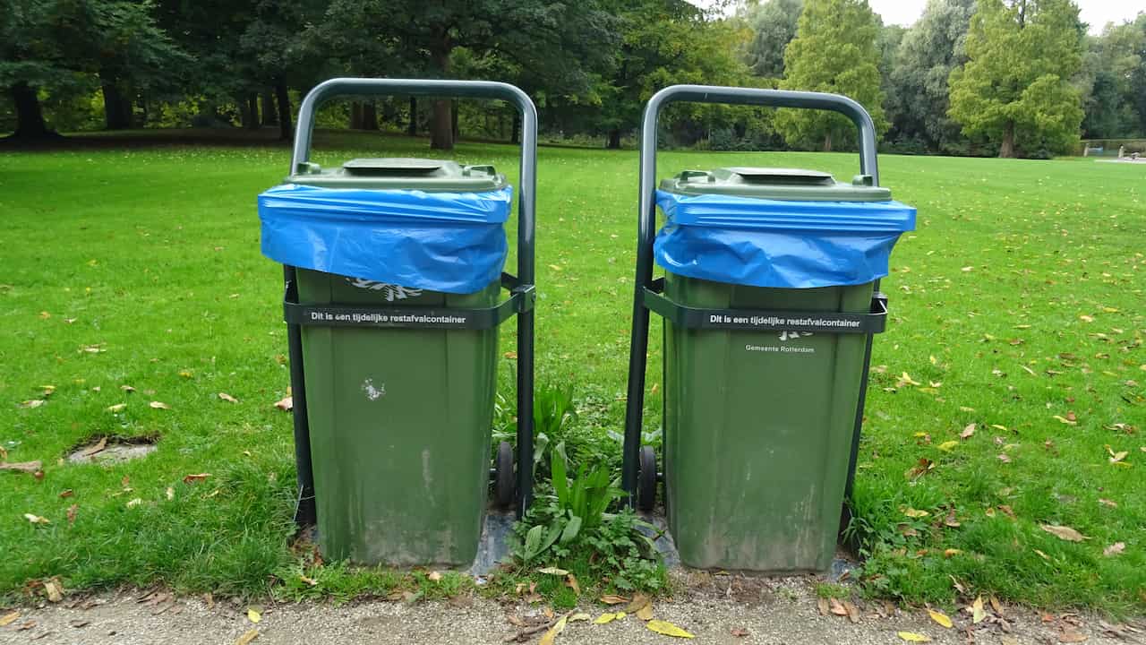 Two green wheelie bins with blue covers, side by side, placed on a paved path in a public park, surrounded by green grass and tree