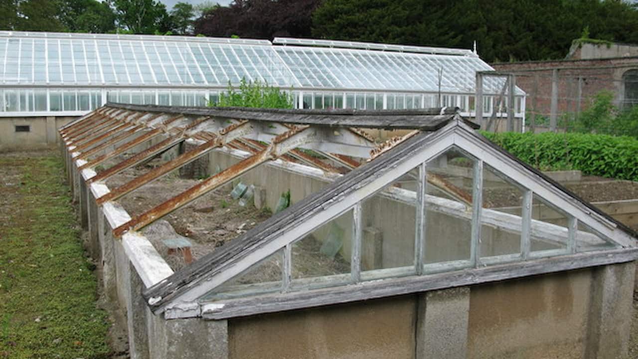 Old glasshouse with a partially rusted and broken frame, missing glass panels, adjacent to a large intact greenhouse in the background, surrounded by greenery