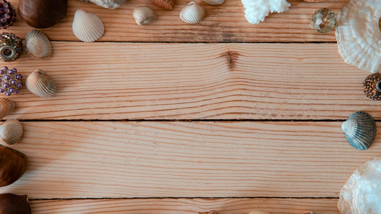 Assorted seashells and decorative beads arranged around the edges of light wooden planks, forming a natural frame