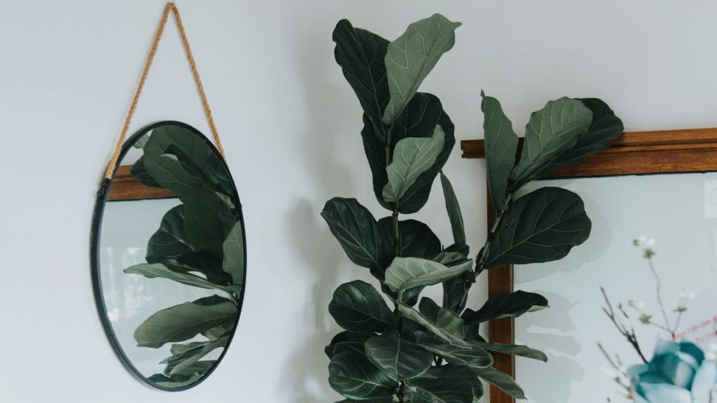 Round mirror with rope hanging strap next to fiddle leaf fig plant against white wall in modern interior