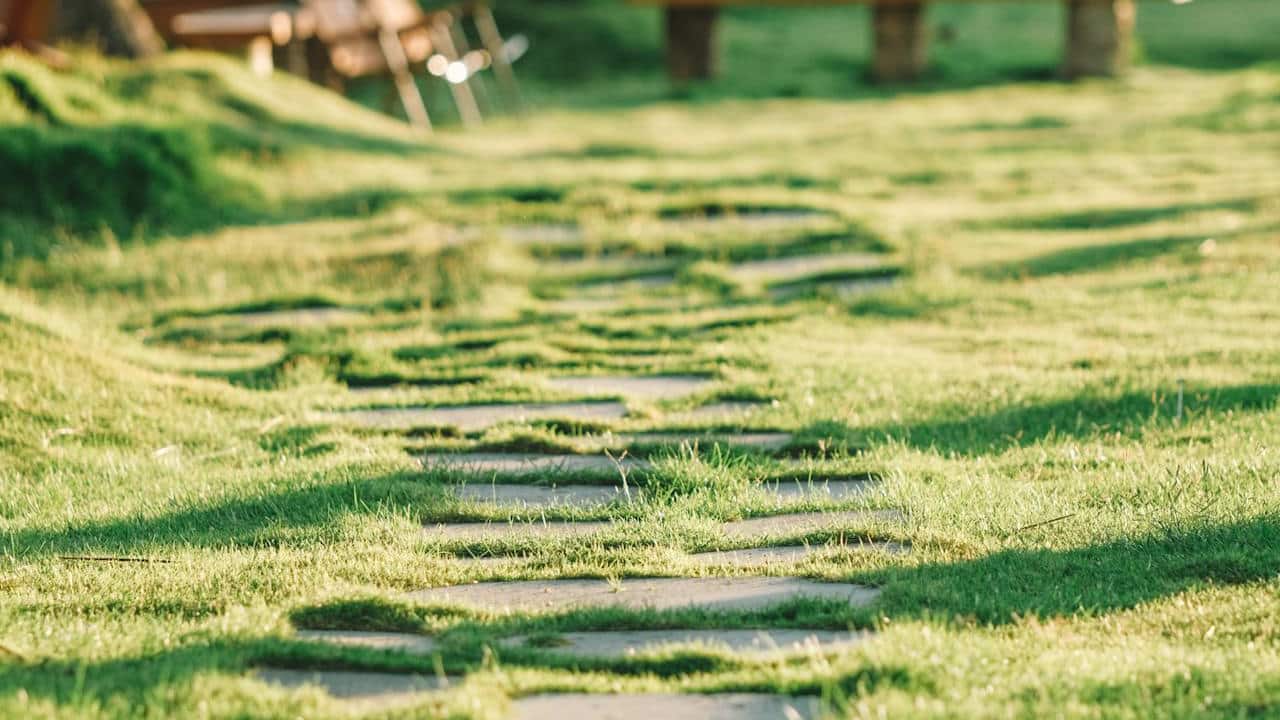 Stone walkway path, partially covered with grass, winding through a sunlit lawn