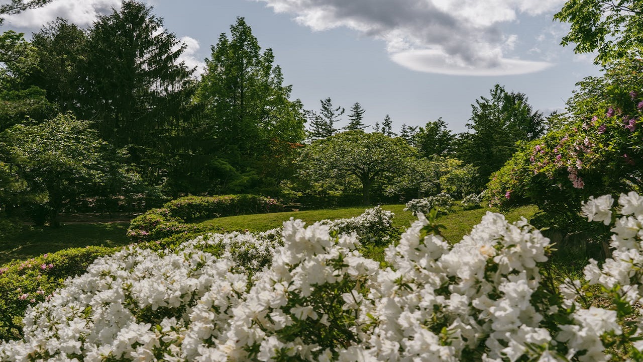 Seasonal fresh flowers