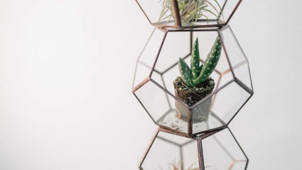 Geometric glass terrariums with copper frames displaying small potted succulents against white wall in modern minimalist arrangement