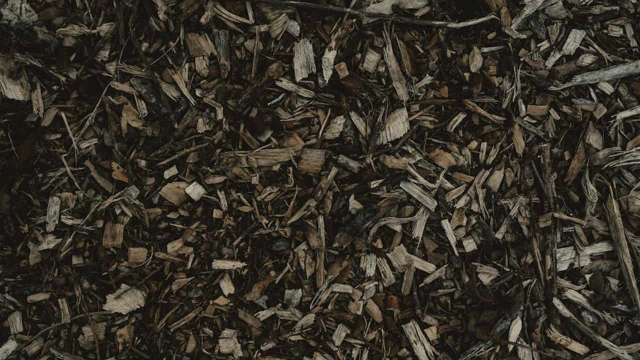 Close-up of dark brown wood mulch, with shredded bark, twigs, and organic matter