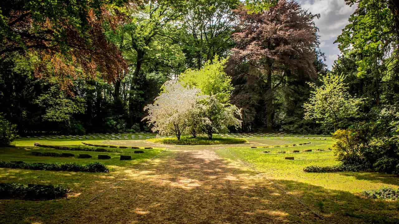 Symmetrical garden with blooming trees at the center, surrounded by stone markers and lush greenery under a canopy of tall trees