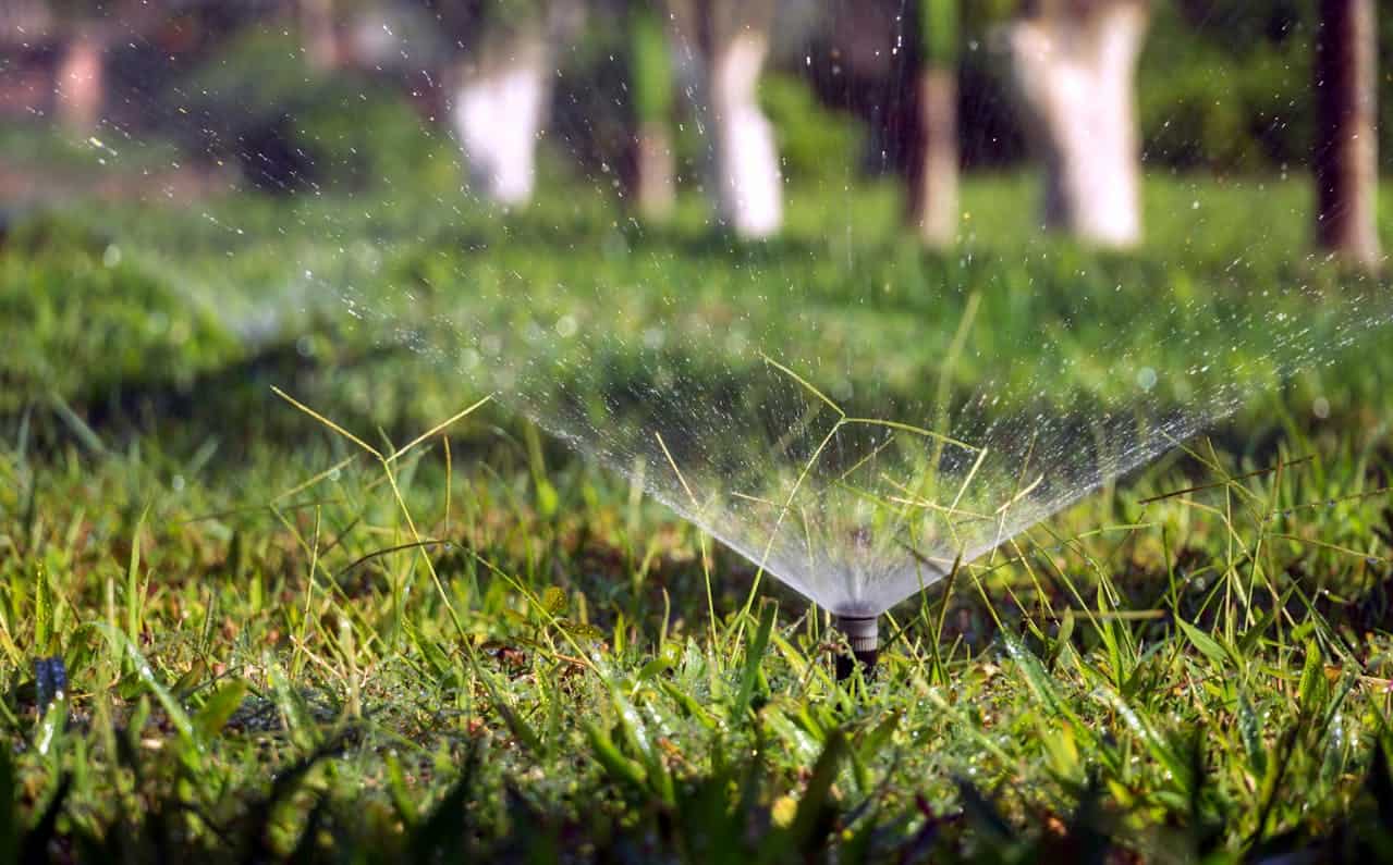Close-up of a lawn sprinkler spraying water, surrounded by green grass, with blurred trees in the background