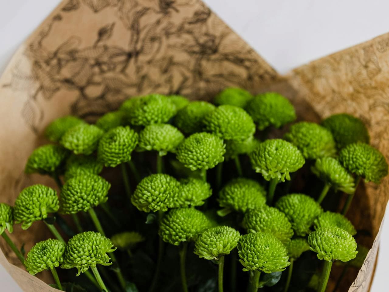 Bouquet of bright green button chrysanthemums wrapped in brown hessian-style paper with black floral illustrations
