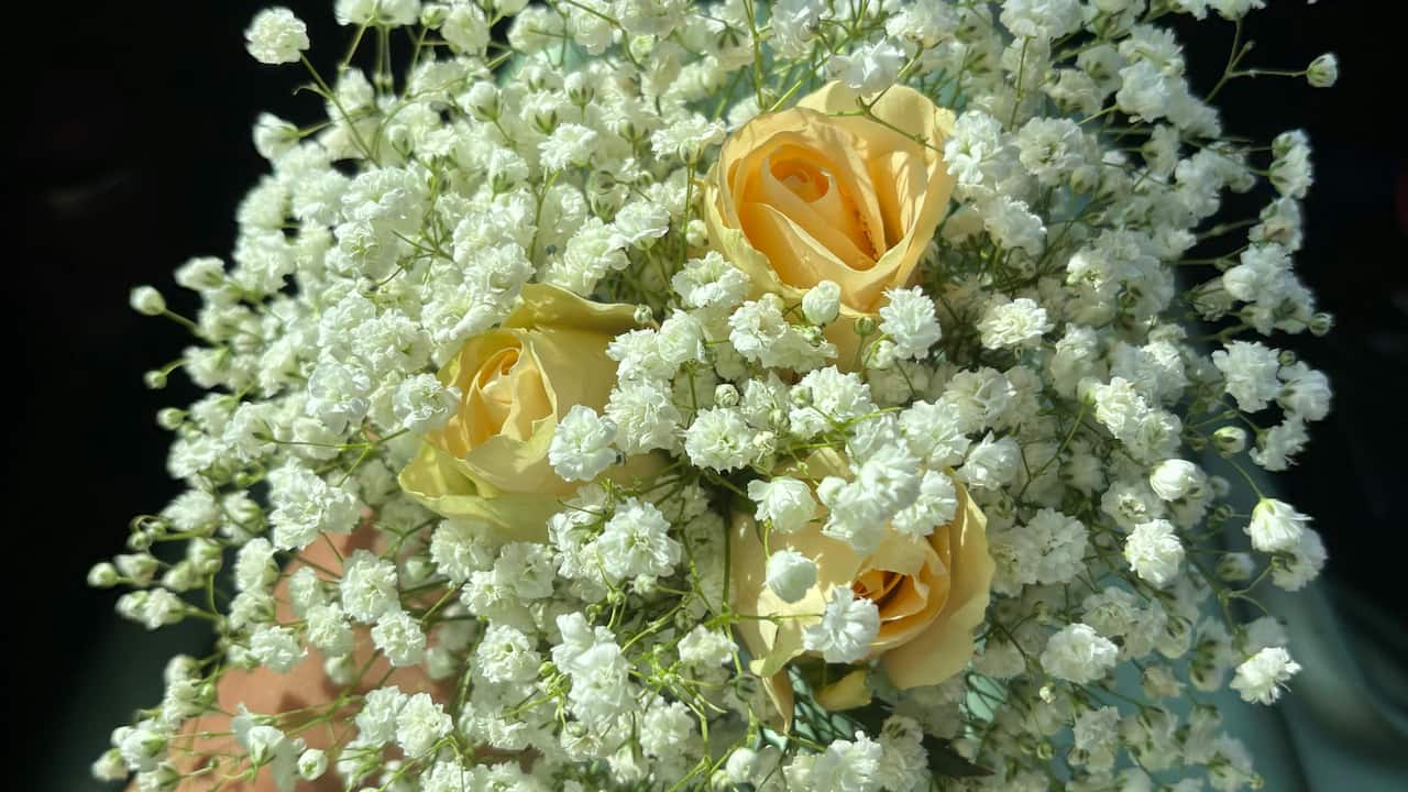 Close-up of a bouquet featuring pale yellow roses surrounded by dense clusters of small white baby’s breath flowers