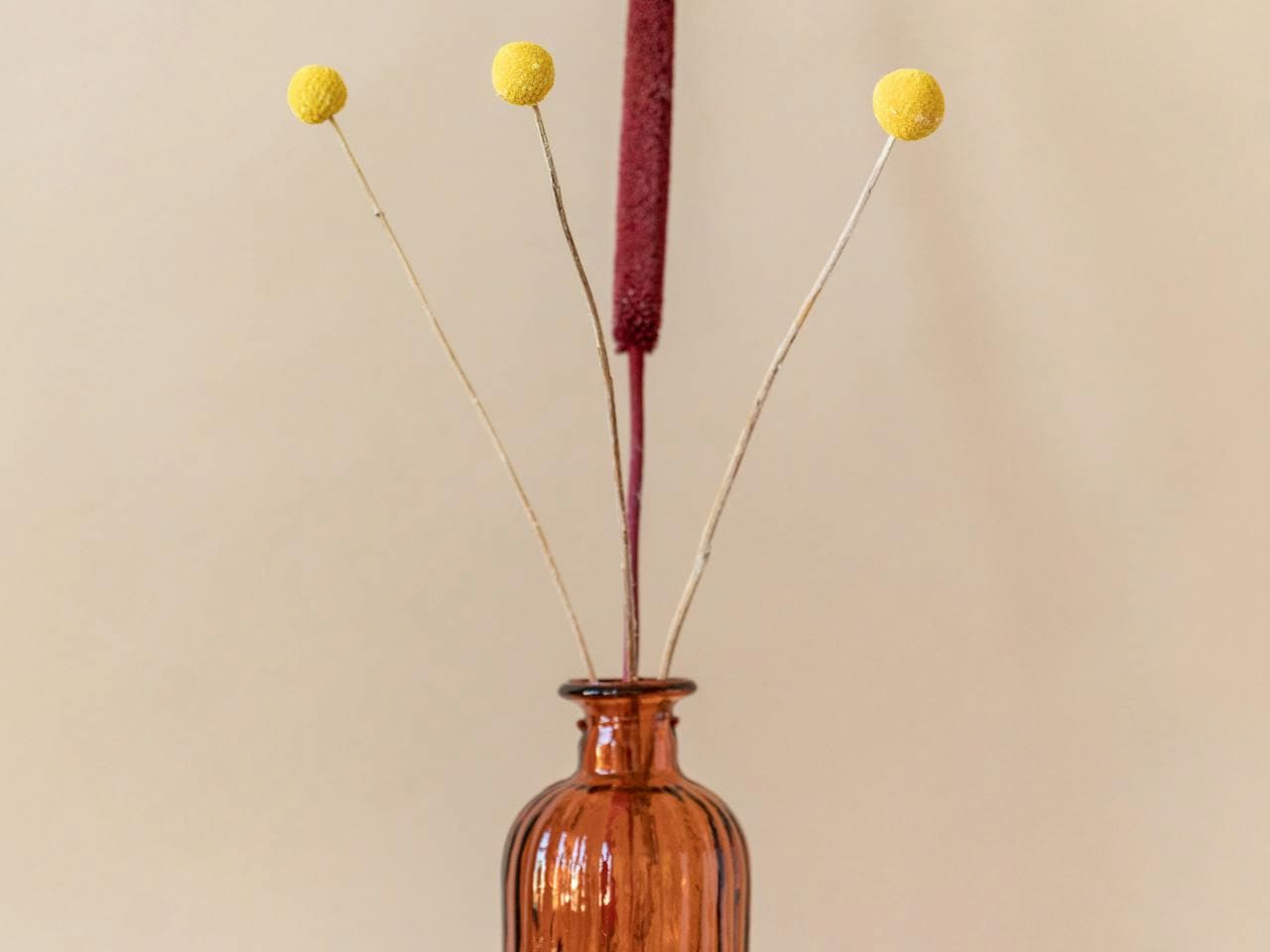 Brown glass vase holding three yellow billy buttons (Craspedia) and a single tall burgundy dried stem, set against a plain beige background