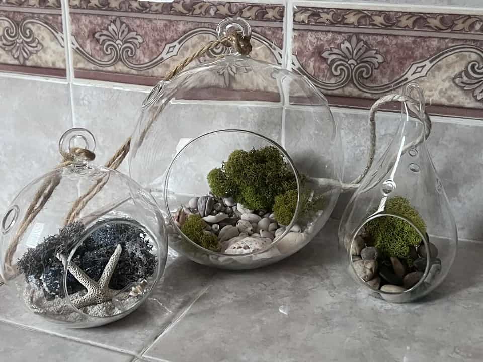 three glass hanging terrariums with rope loops, filled with decorative pebbles, moss, seashells, coral, and a starfish, displayed on tiled surface against a patterned wall