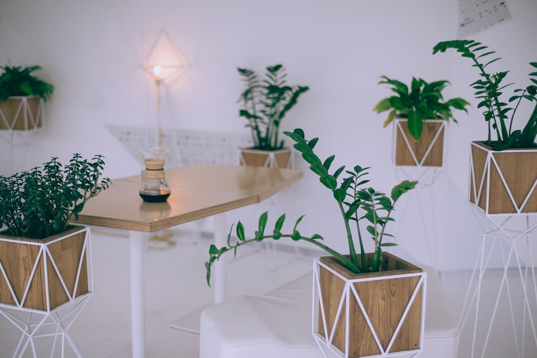 modern indoor space with geometric plant stands, wooden planters with green houseplants, wooden table with coffee carafe, white walls and minimal lighting