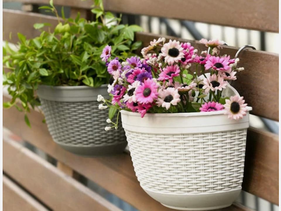 two woven-style plastic hanging pots attached to wooden slats, one with leafy green plant, the other with pink and purple daisies