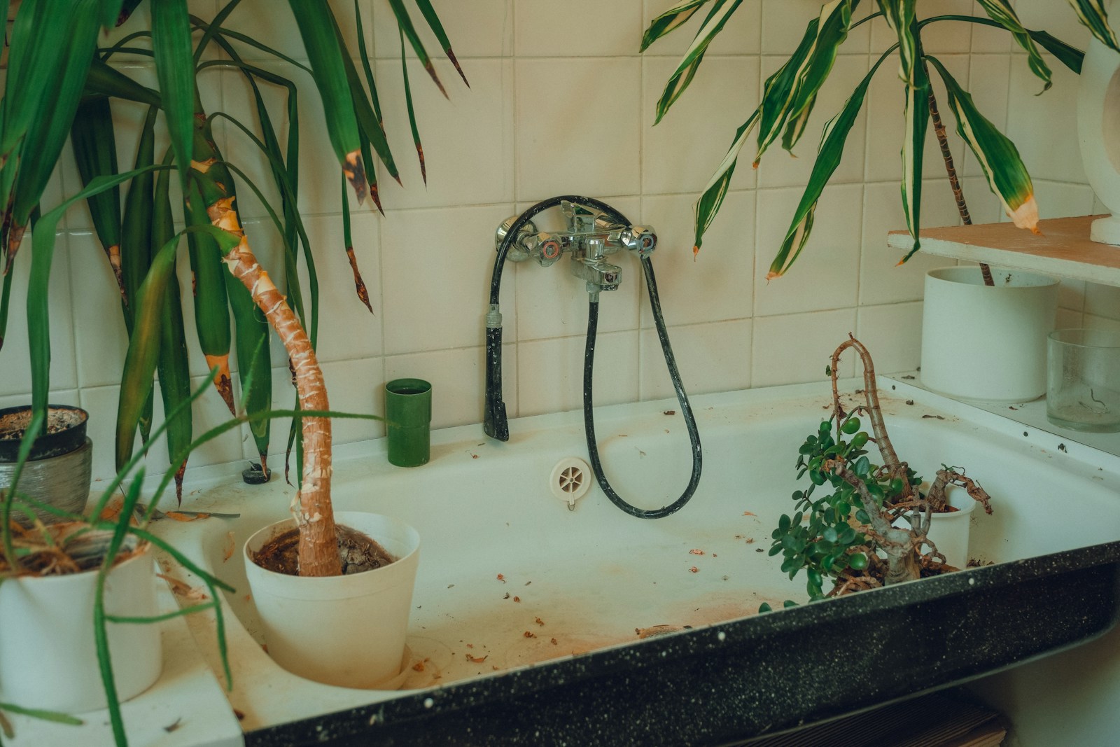 10 Retro Bathroom Trends Back Again