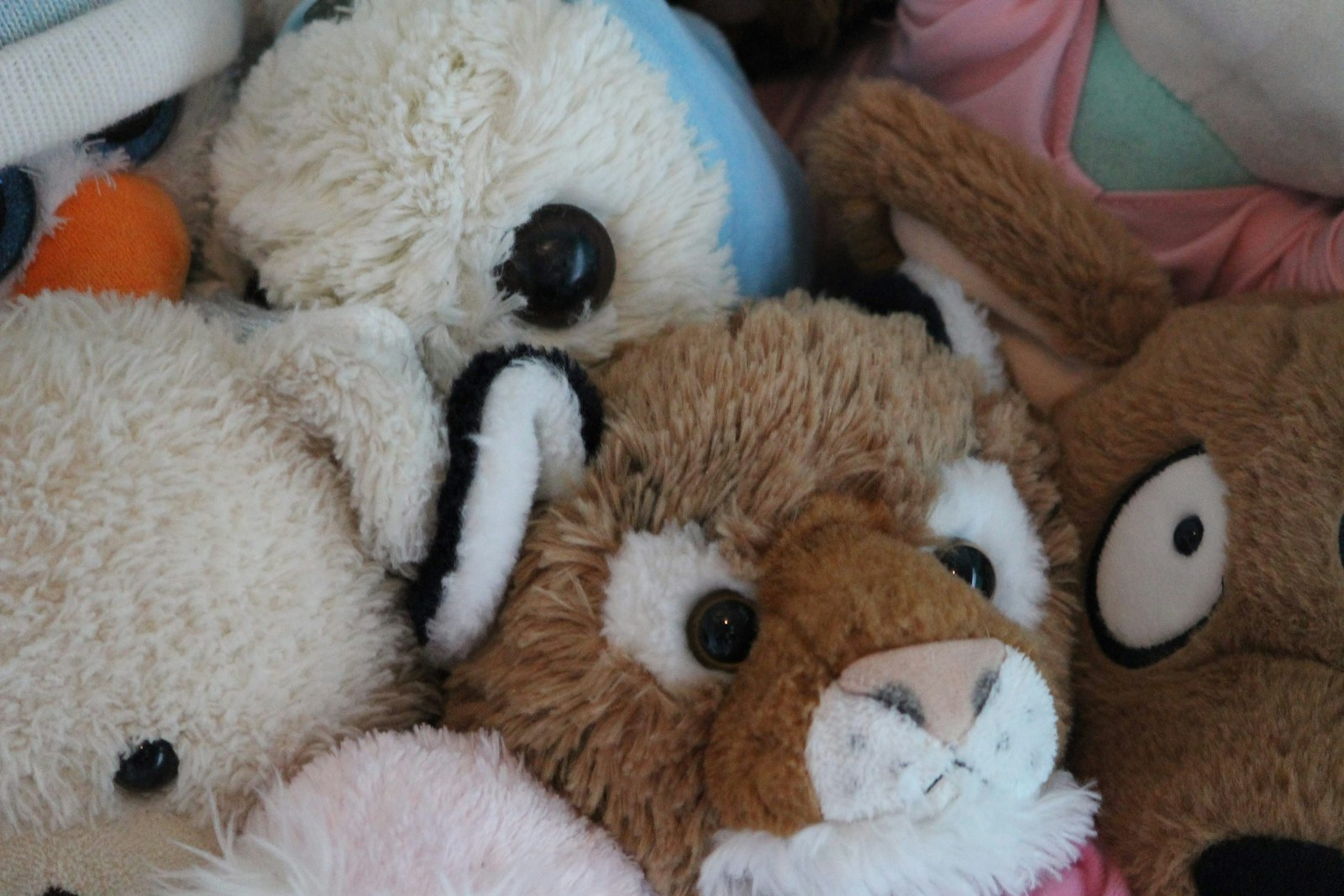 10 Toys You Should Never Donate