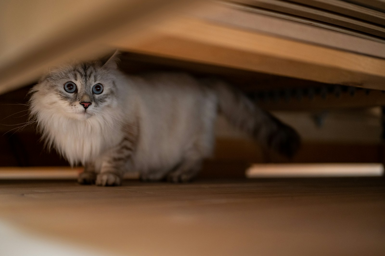 18 Things You Need to Toss From Under Your Bed