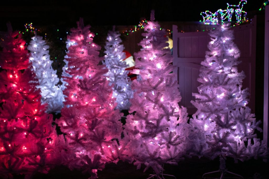 lighted Christmas trees