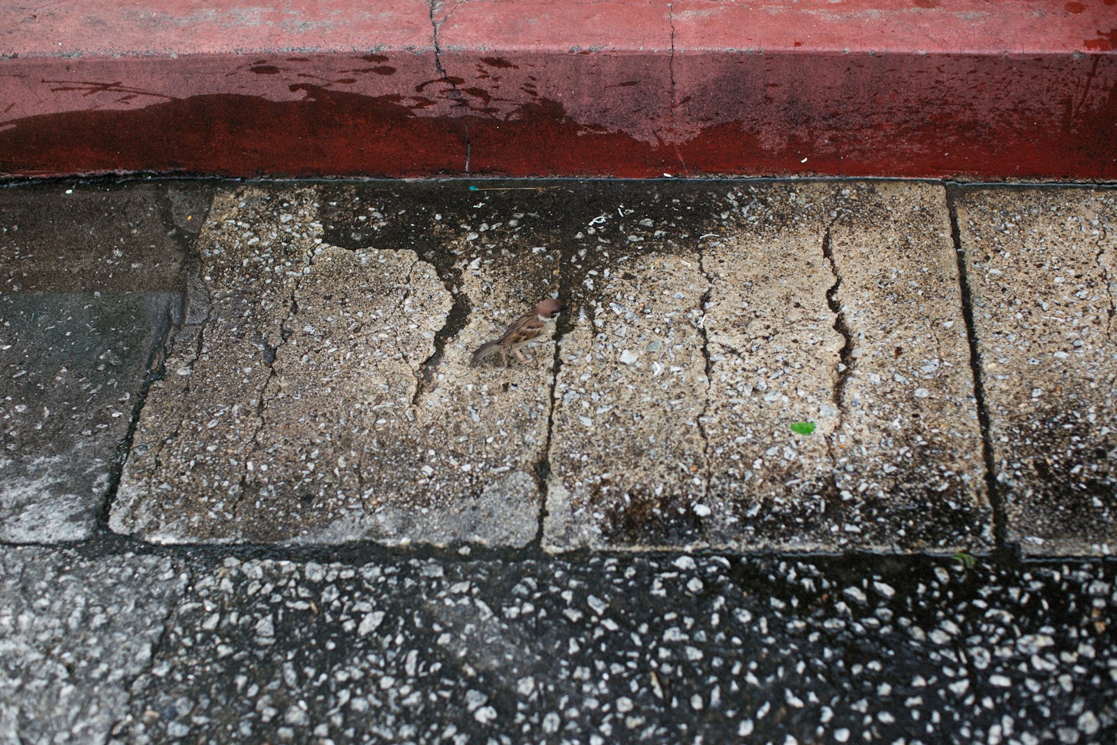 a red bench sitting on the side of a road