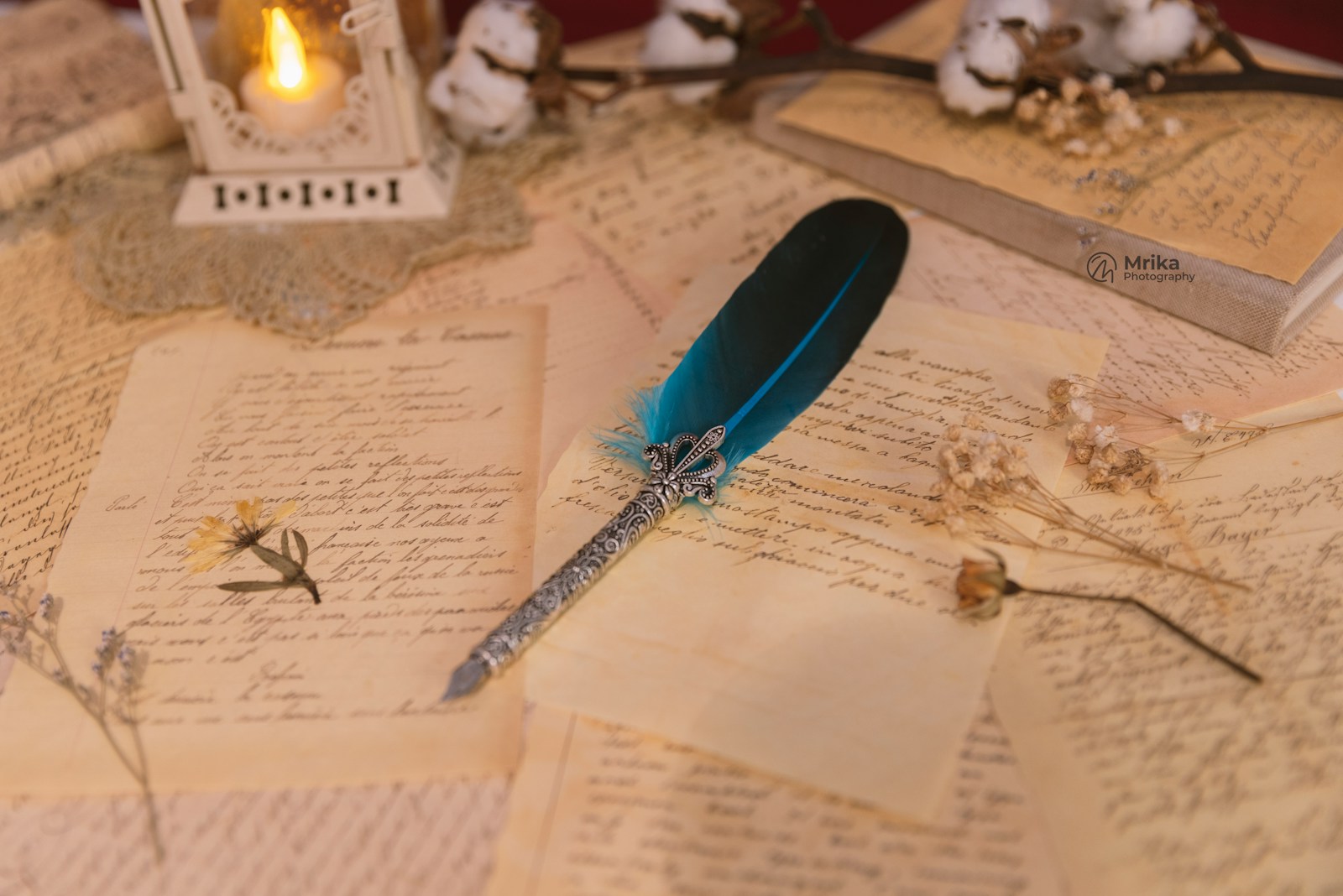 a blue feather quill sitting on top of an open book
