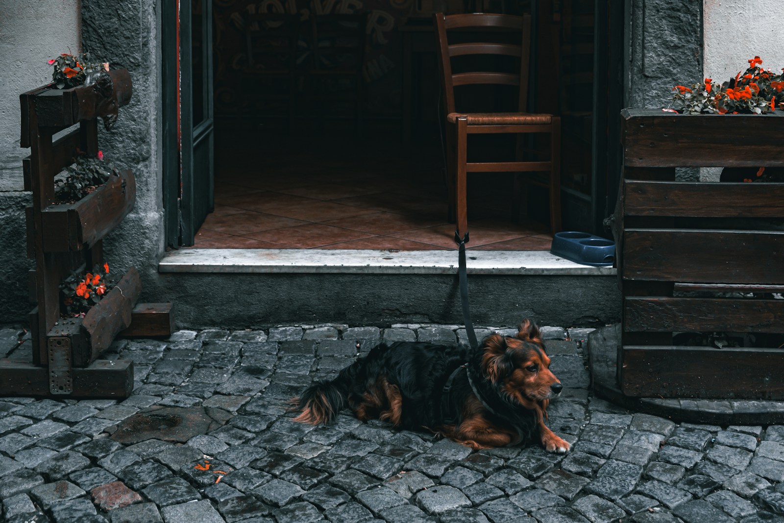 a dog laying on the ground in front of a building