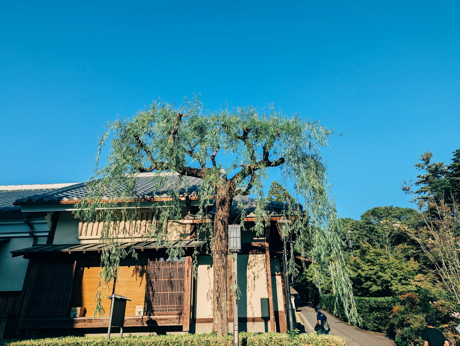A building with a tree in front of it