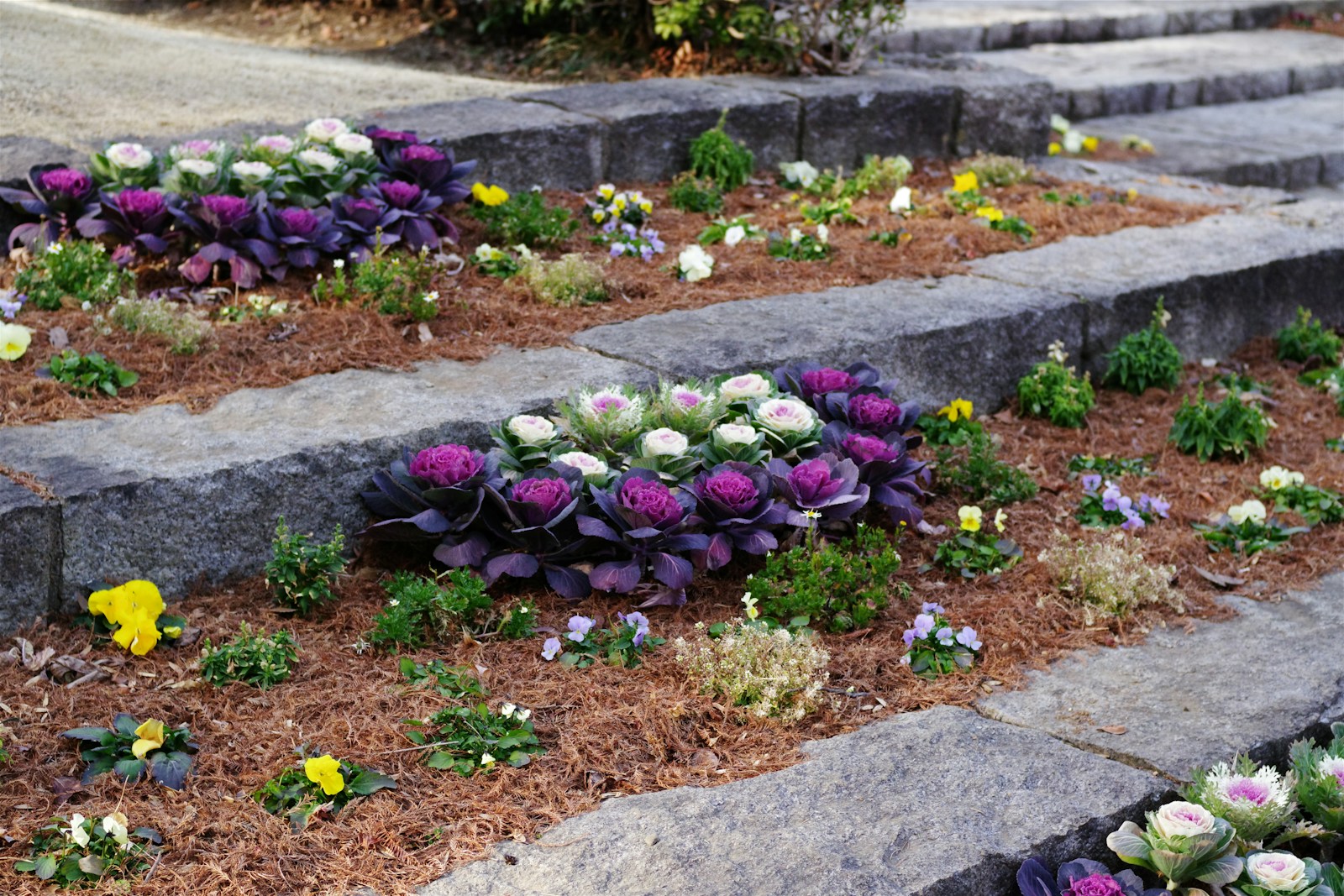Flower beds with decorative plants and stone steps.