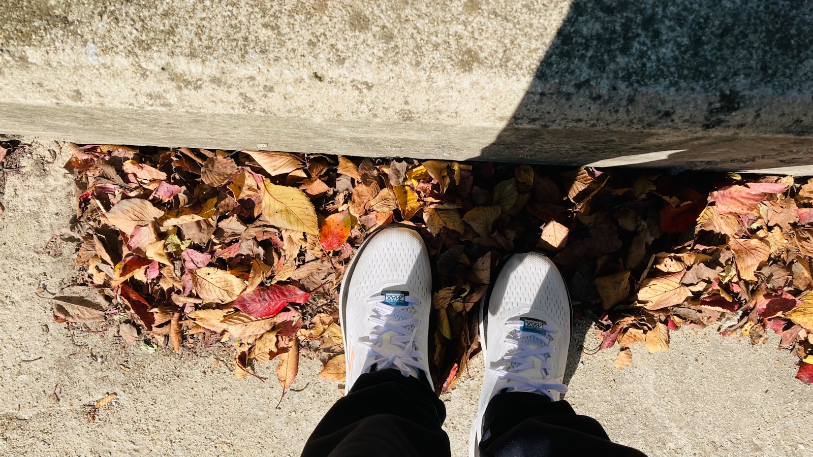 a person's feet on a sidewalk with fallen leaves