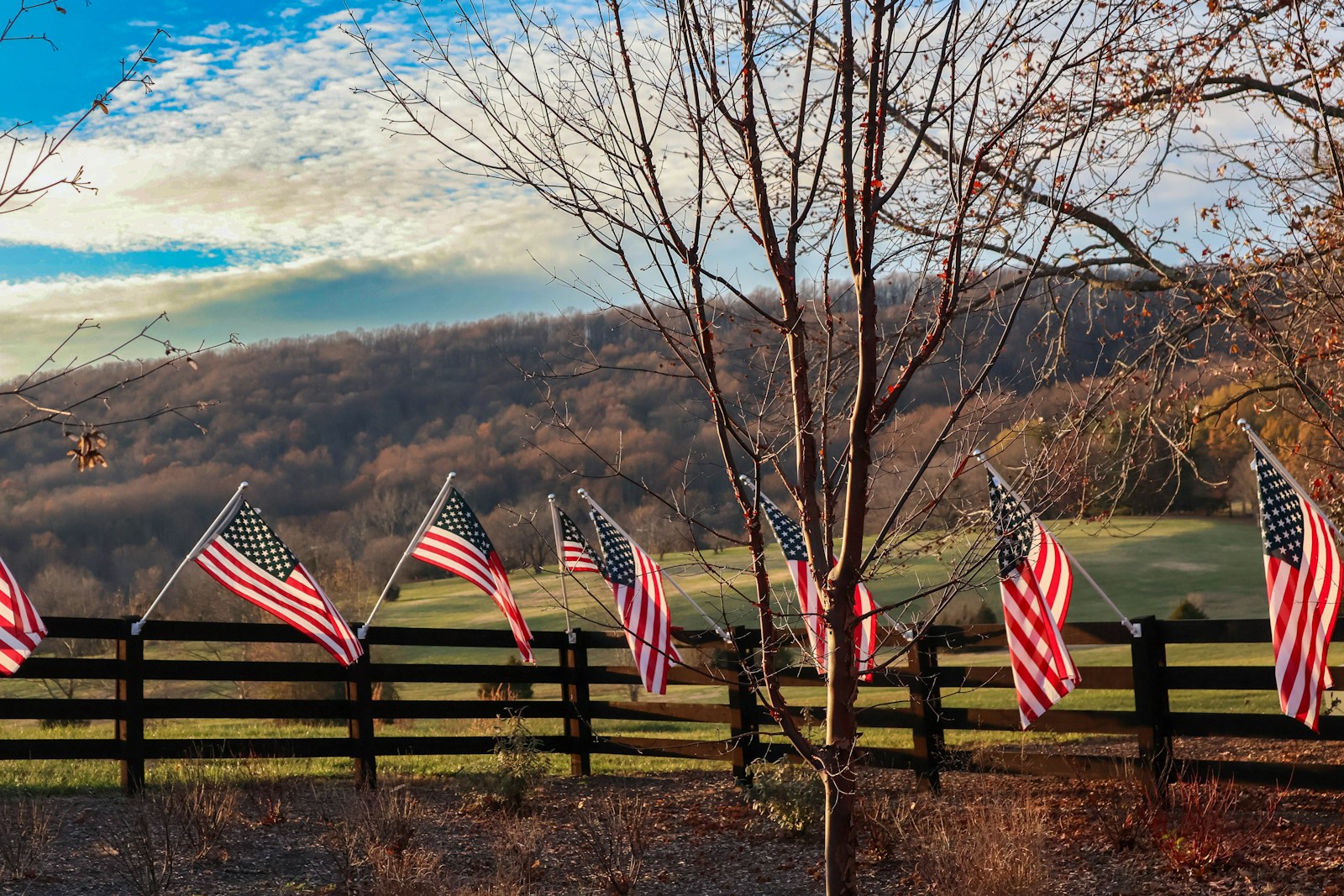 A wooden fence with american flags on it
