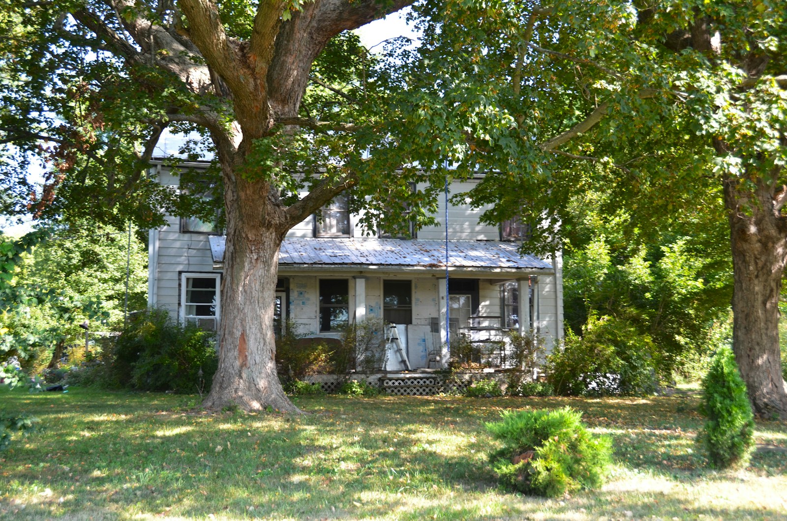 Old farmhouse surrounded by large trees and greenery.