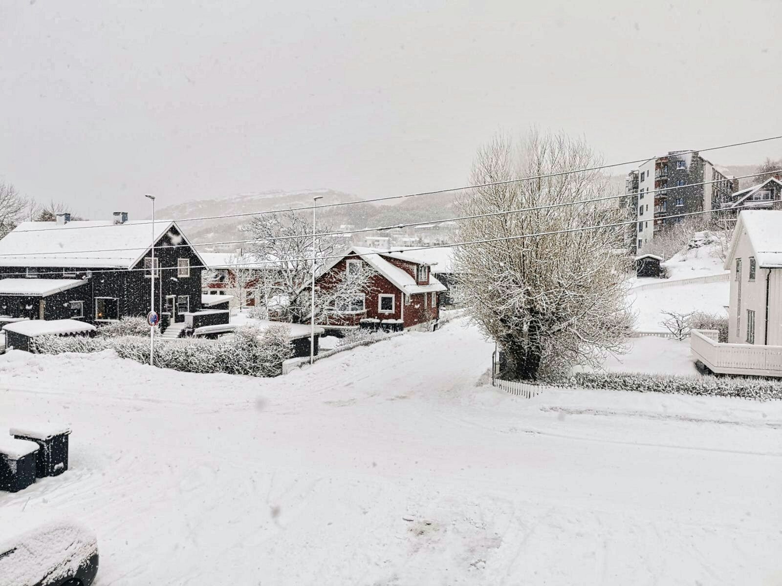 a snow covered street with houses and trees