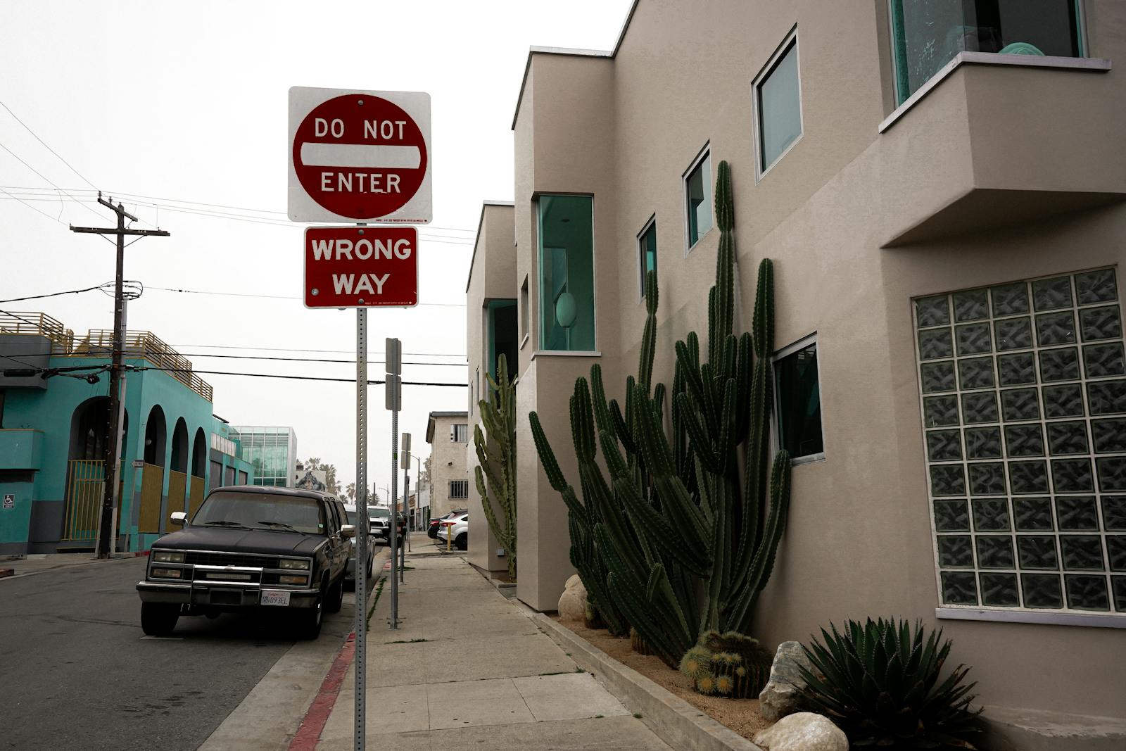 Modern urban street view featuring a do not enter sign and tall cactus plants beside contemporary buildings.