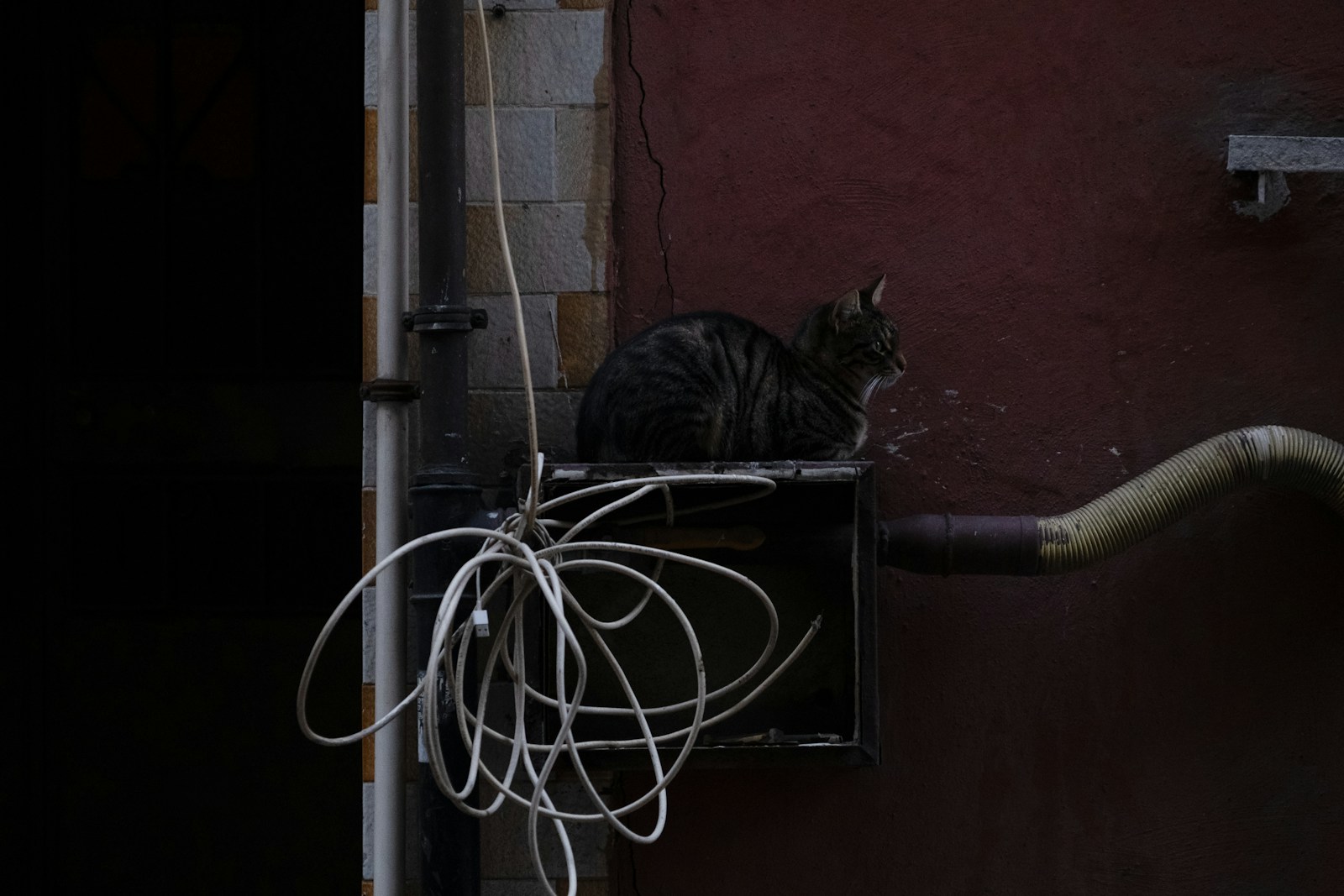 A tabby cat sits on a box next to wires.