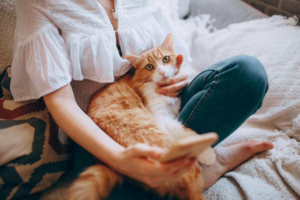 A woman holds a phone and relaxes with a ginger cat on her lap indoors.