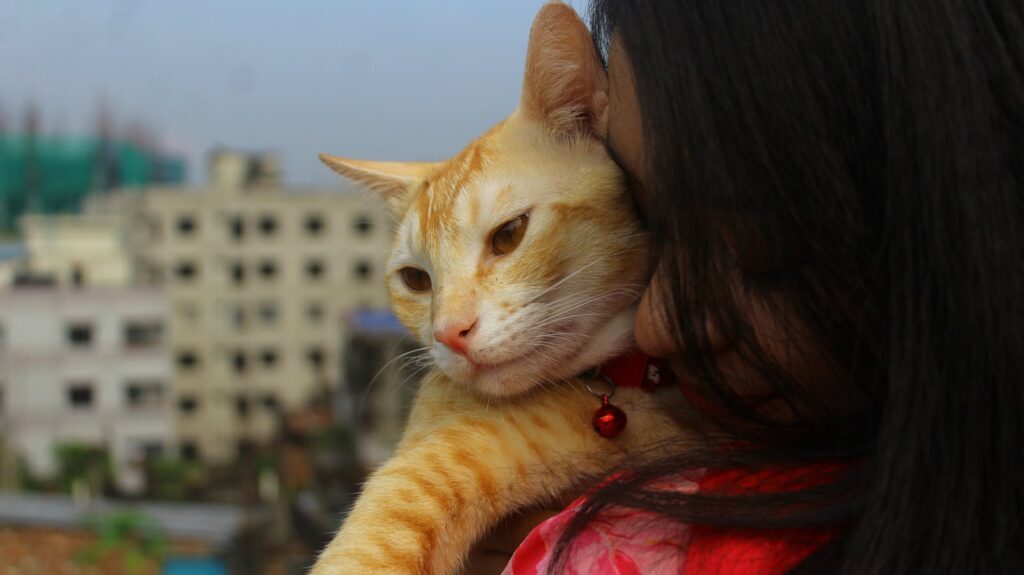 A woman lovingly holds a ginger cat with a bell collar on an outdoor balcony.