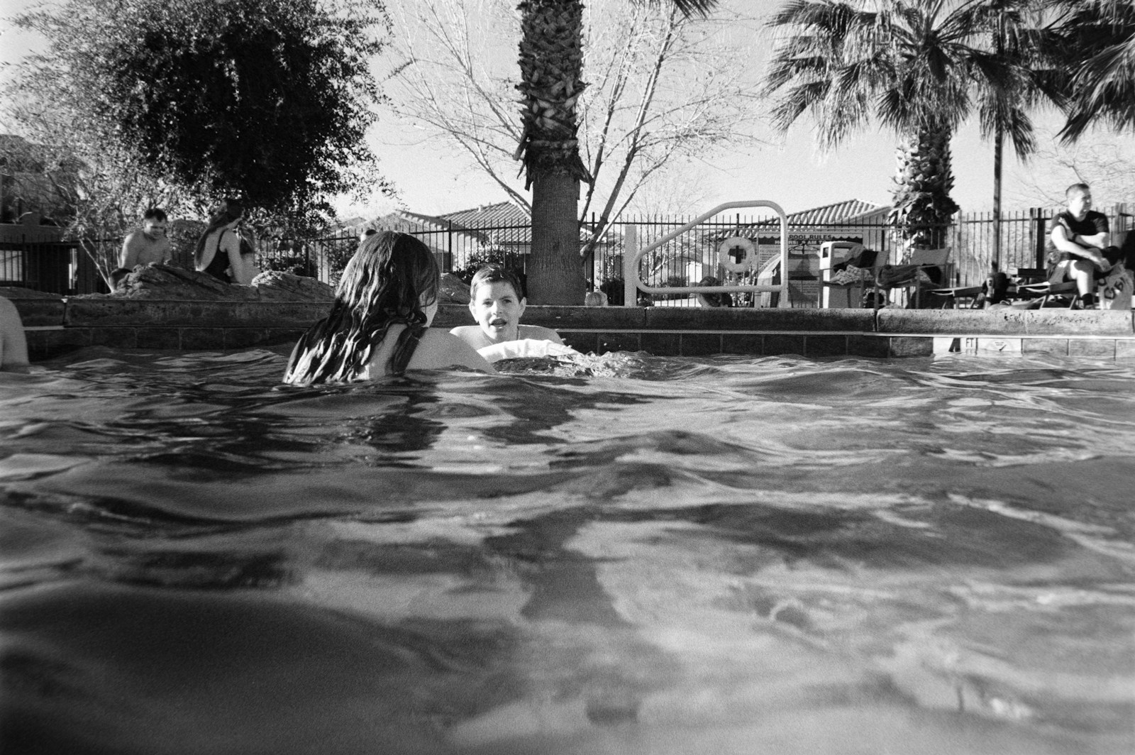 Two people swimming in a pool with palm trees.