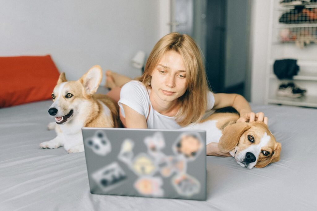 A woman working on a laptop at home with her pets, a Corgi and a Beagle, relaxed beside her on the bed.