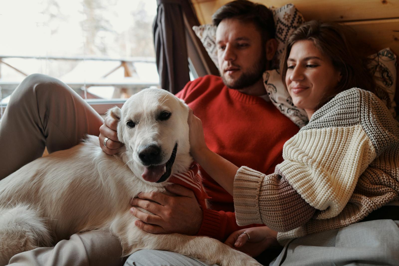 A couple relaxing on a bed indoors with their golden retriever, embodying warmth and companionship.