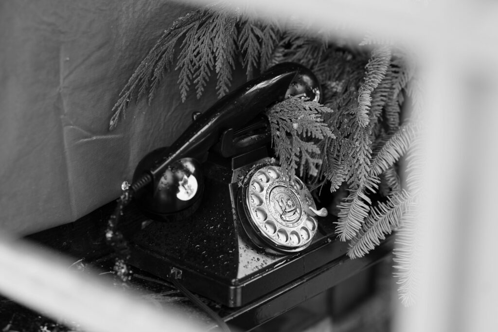 Vintage rotary telephone with greenery
