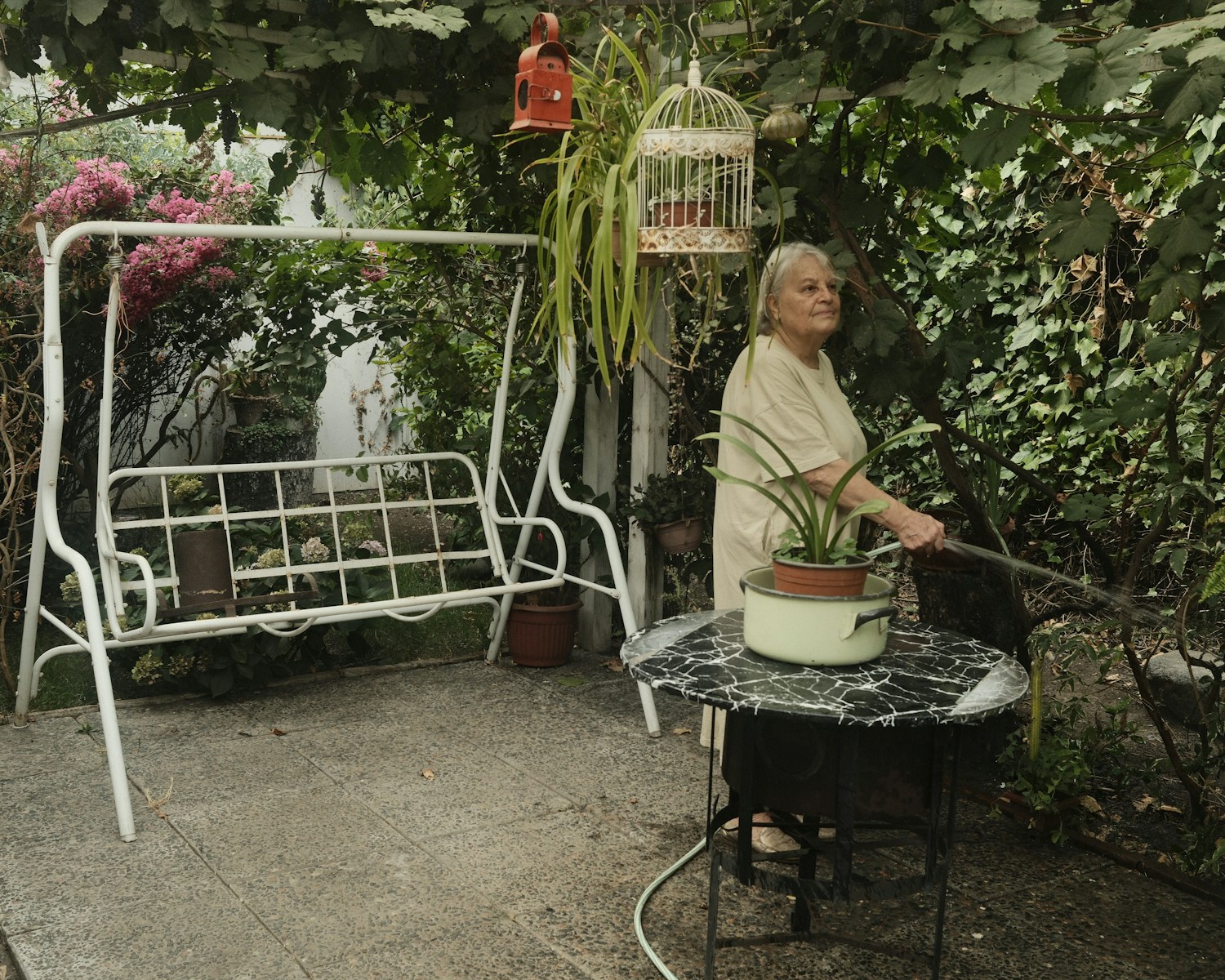 Elderly woman watering plants in a lush garden.