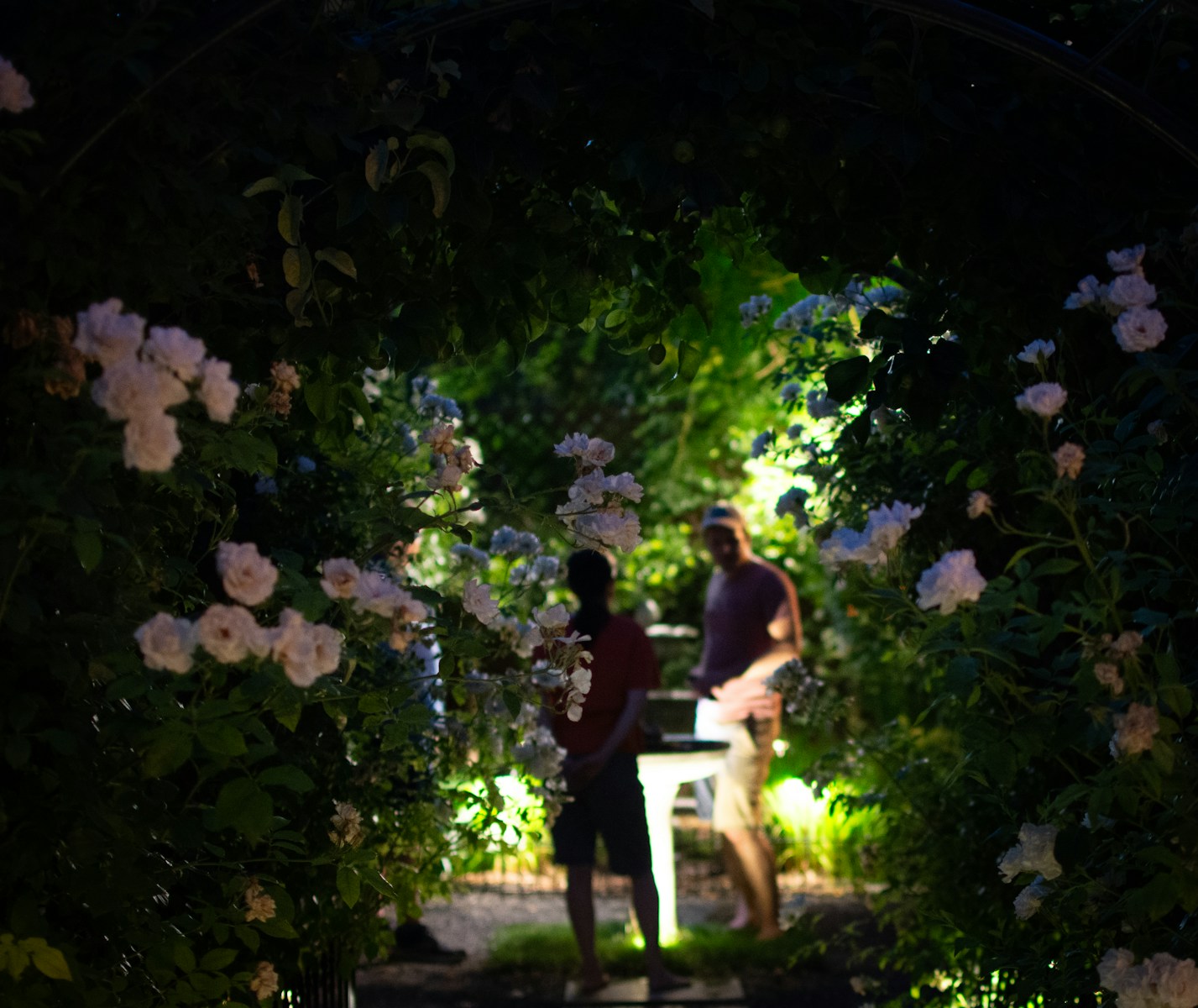 a couple of people that are standing in a garden