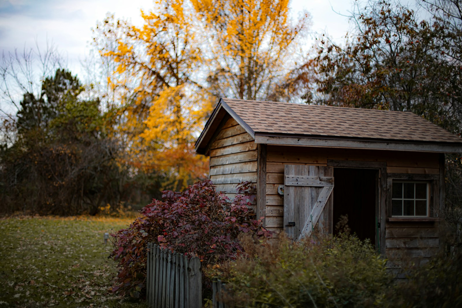 Rustic wooden shed surrounded by autumn foliage