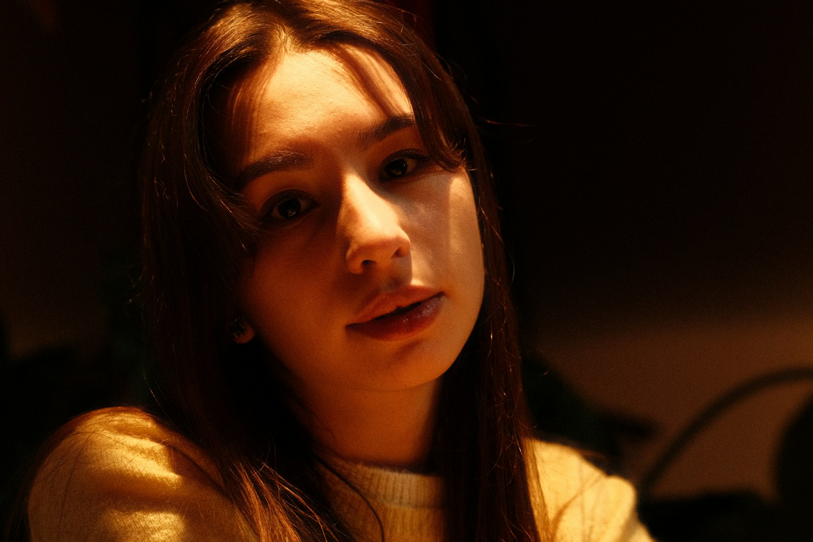 Young woman with long brown hair in soft lighting